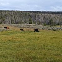 Bridger Lake Campground ico