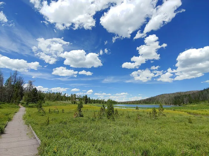 Bridger Lake Campground Picture 6