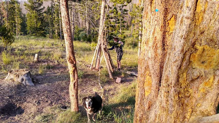 Bridger Lake Campground Picture 9