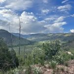 Yellowstone Campground