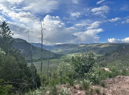 Yellowstone Campground