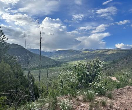 Yellowstone Campground