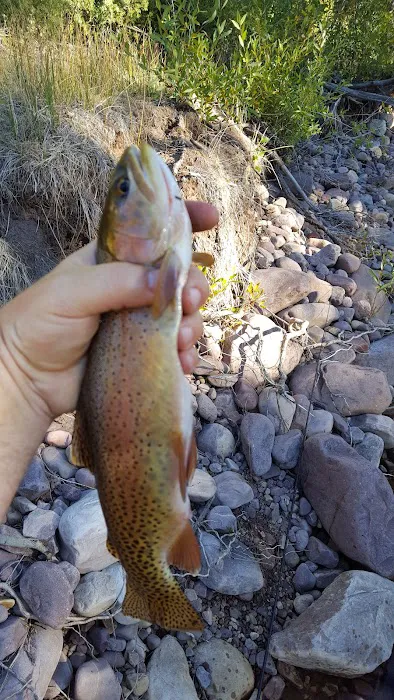 Yellowstone Campground Picture 5