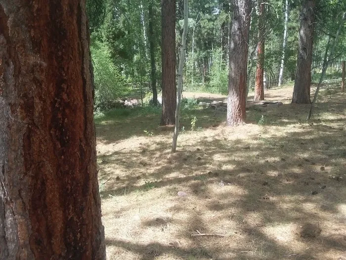 Yellowstone Campground Picture 6