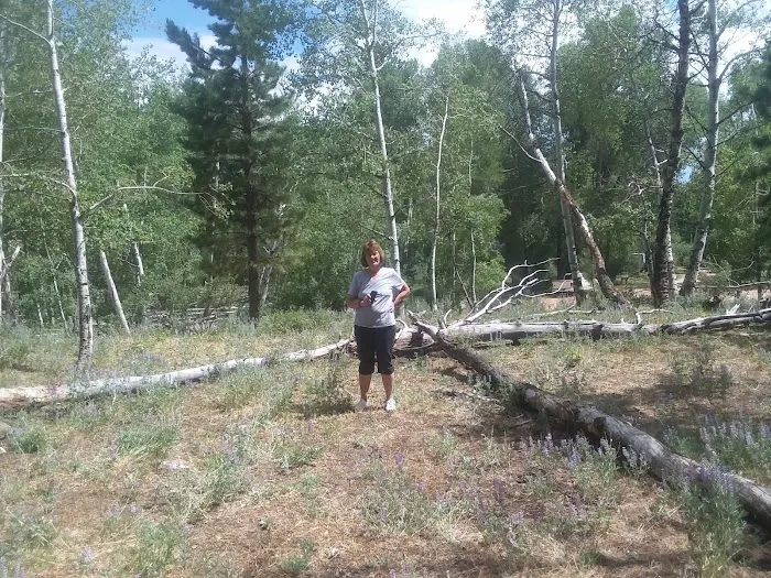 Yellowstone Campground Picture 10