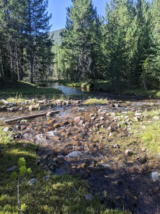 Swift Creek Campground Picture 5