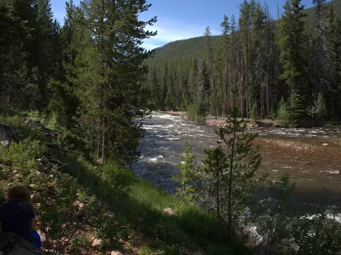 Swift Creek Campground Picture 4
