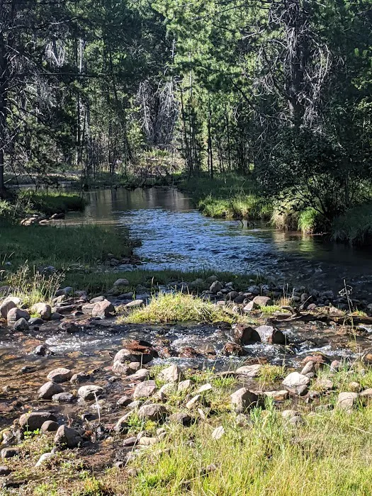 Swift Creek Campground Picture 8