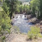 Bridge Campground