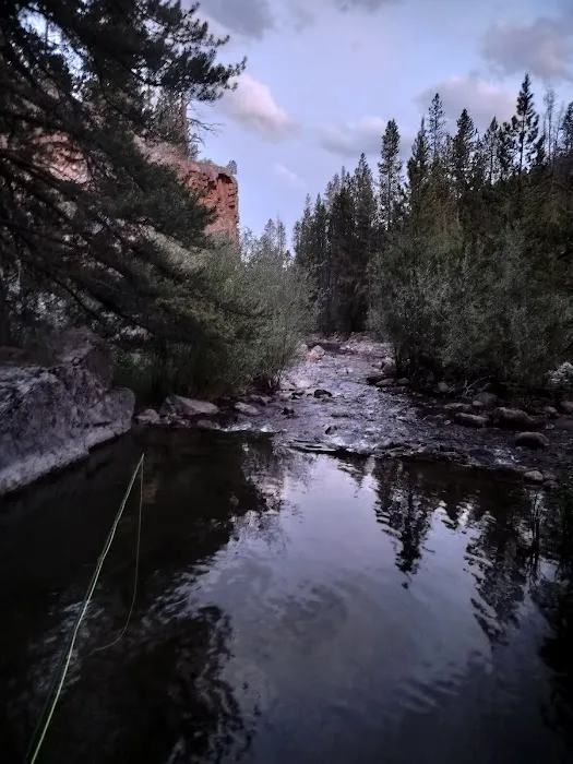 Riverview Campground Picture 3