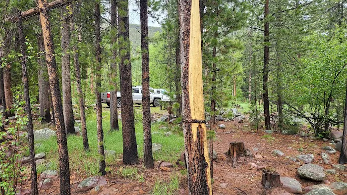 Riverview Campground Picture 4