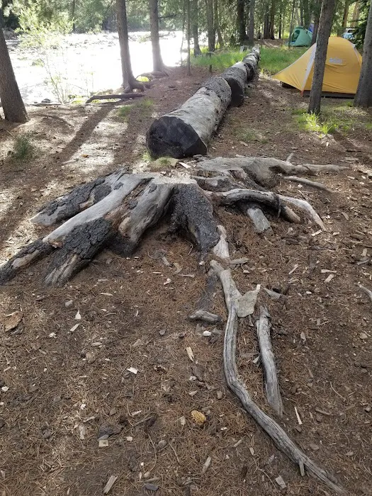Riverview Campground Picture 7