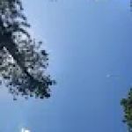 Wandin Campground