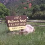 Chicken Creek Campground