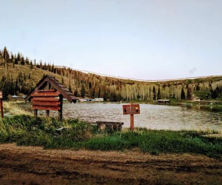Mia Shalom Recreation Camp