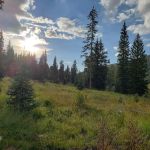 Flat Canyon Campground