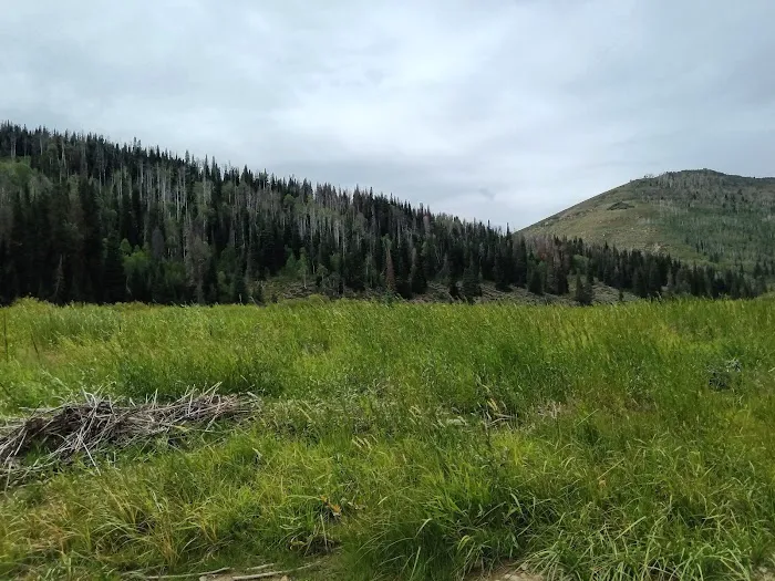 Fish Creek Campground Picture 2