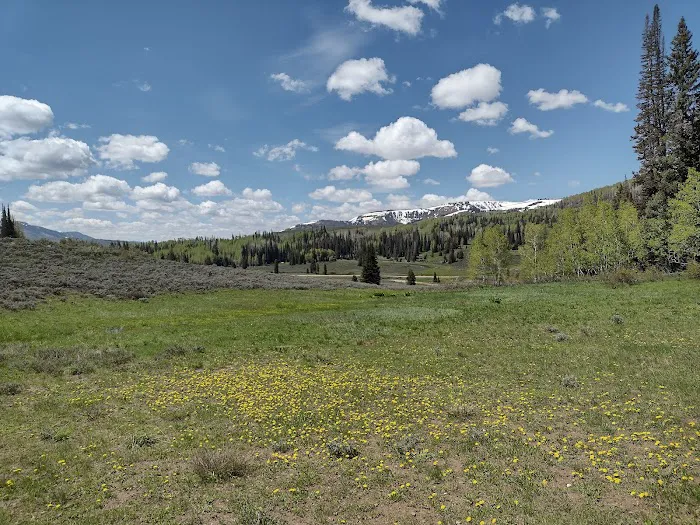 Lake Canyon Recreation Area Campground Picture 1