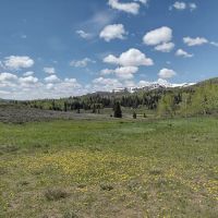 Lake Canyon Recreation Area Campground ico