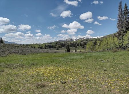 Lake Canyon Recreation Area Campground