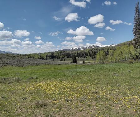 Lake Canyon Recreation Area Campground