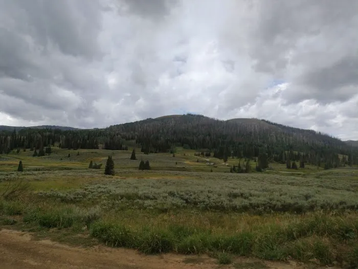 Lake Canyon Recreation Area Campground Picture 8