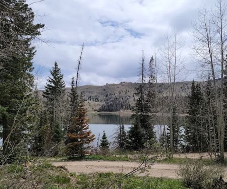 Cleveland Reservoir Campground