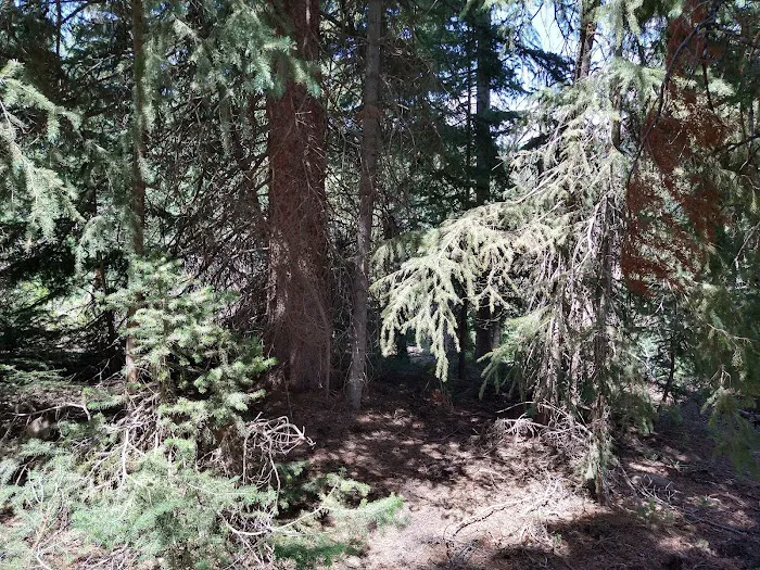 Cleveland Reservoir Campground Picture 2