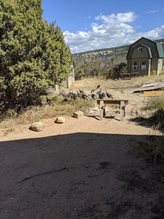 Heritage Grove Campground Picture 9
