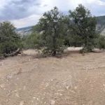 Wilderness Camp