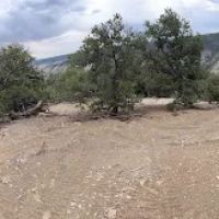 Wilderness Camp ico
