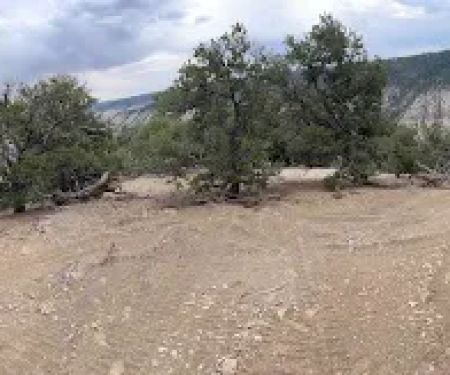 Wilderness Camp