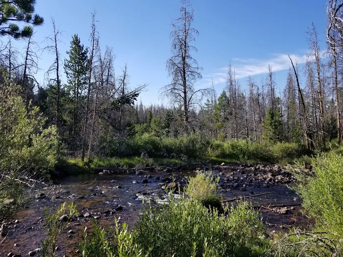 Henrys Fork Campground Picture 1