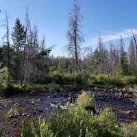 Henrys Fork Campground ico