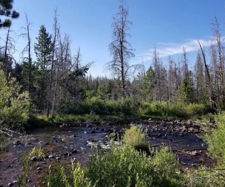 Henrys Fork Campground