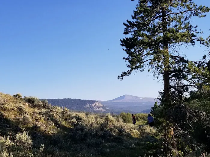 Henrys Fork Campground Picture 4