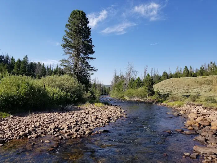 Henrys Fork Campground Picture 5