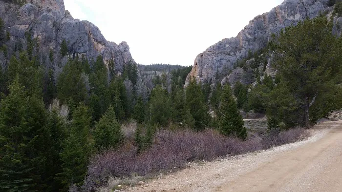 Hoop Lake Campground Picture 5