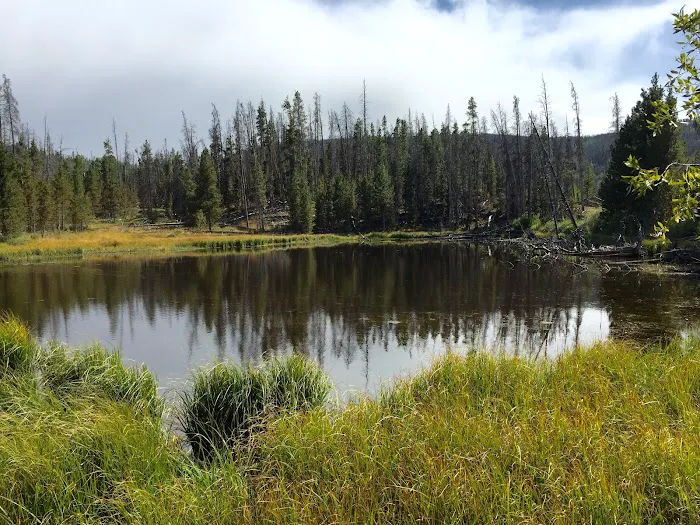 Hoop Lake Campground Picture 9
