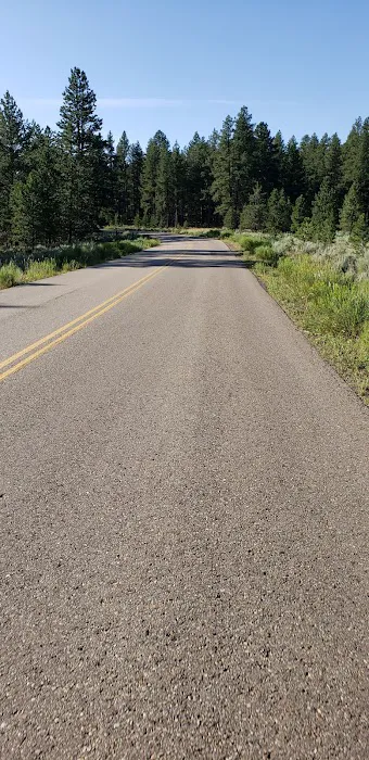Uinta River Group Campground Picture 7