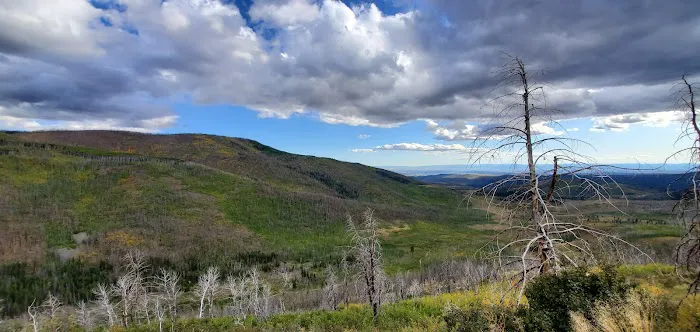 Uinta Canyon Campground Picture 6