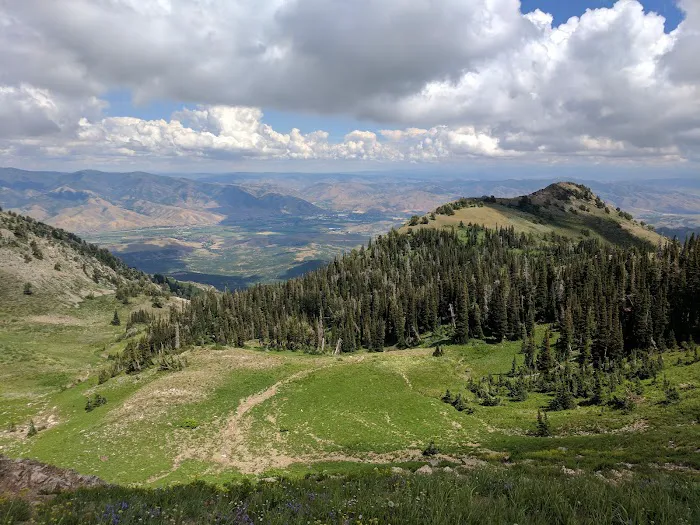 Uinta Canyon Campground Picture 7
