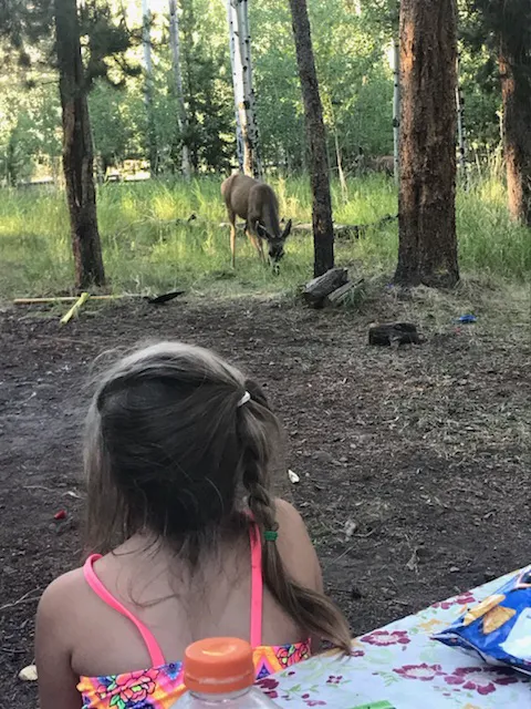 Uinta Canyon Campground Picture 8