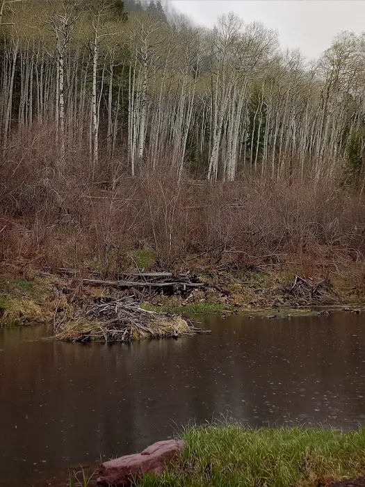 Whiterocks Campground Picture 3