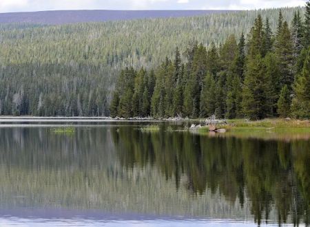 Paradise Park Campground