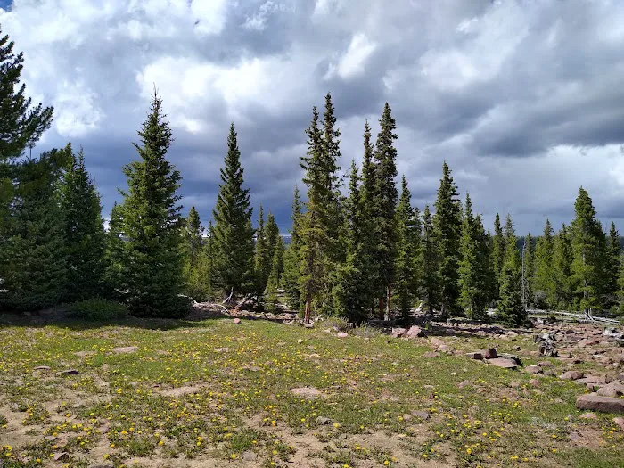 Paradise Park Campground Picture 4