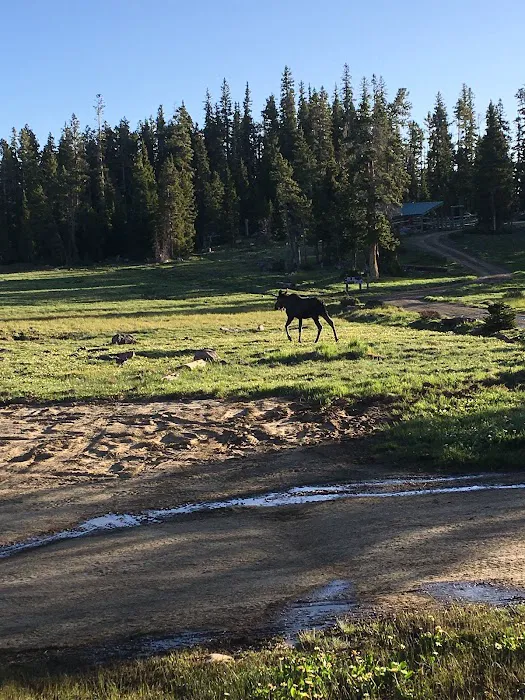 Spirit Lake Campground Picture 5