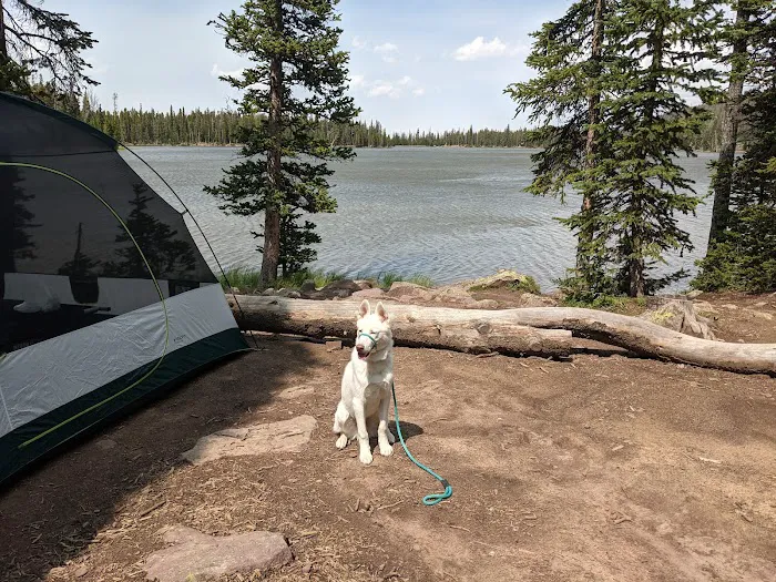 Spirit Lake Campground Picture 8