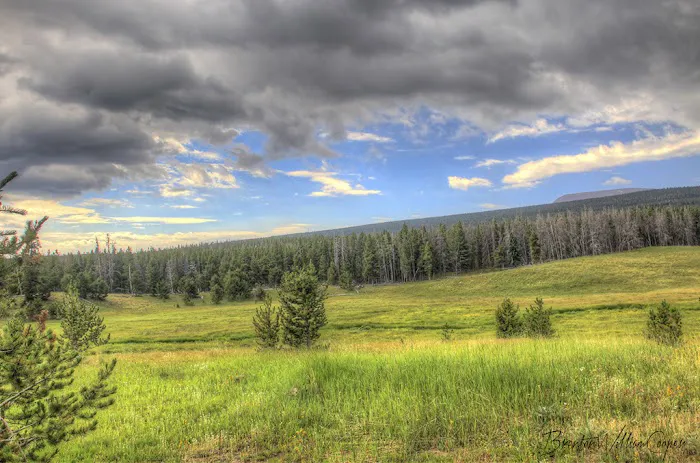Spirit Lake Campground Picture 10