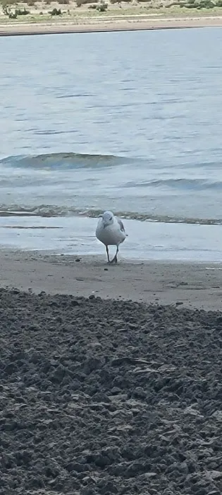 North Beach Campground Picture 6